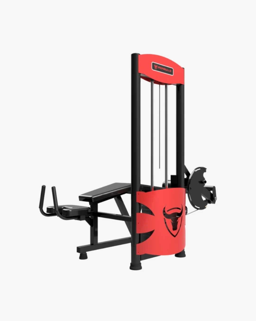 Mesa Flexora